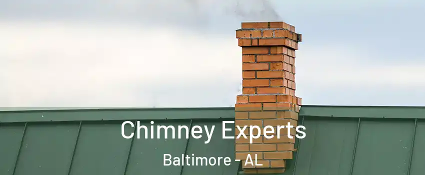 Chimney Experts Baltimore - AL
