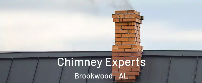 Chimney Experts Brookwood - AL