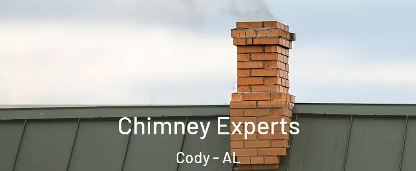 Chimney Experts Cody - AL