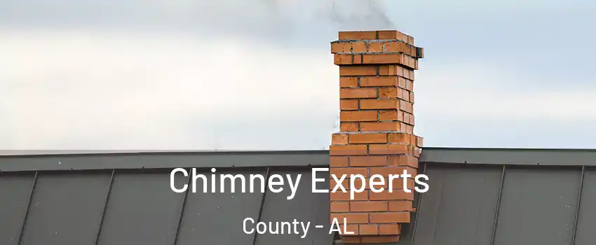 Chimney Experts County - AL