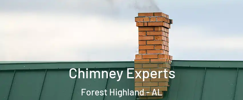 Chimney Experts Forest Highland - AL