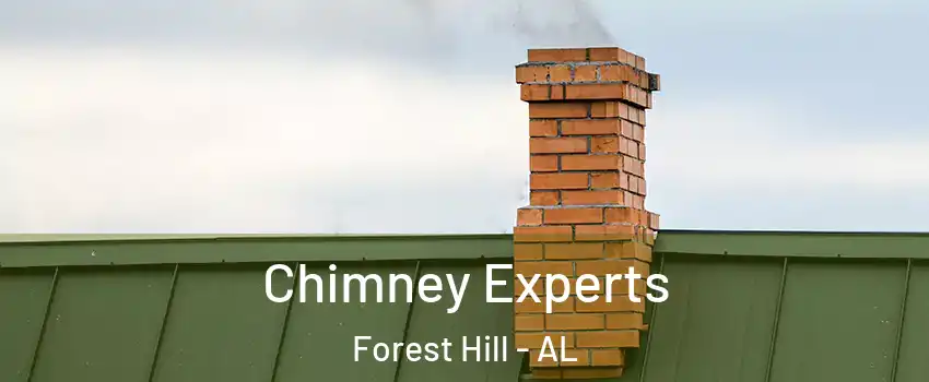 Chimney Experts Forest Hill - AL
