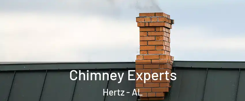 Chimney Experts Hertz - AL