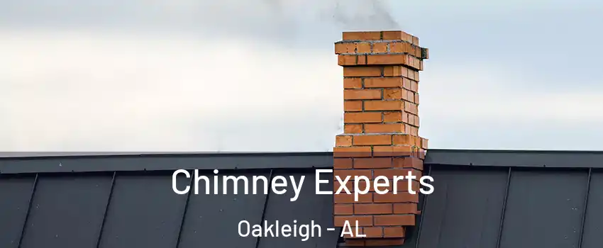 Chimney Experts Oakleigh - AL