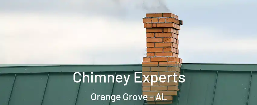 Chimney Experts Orange Grove - AL