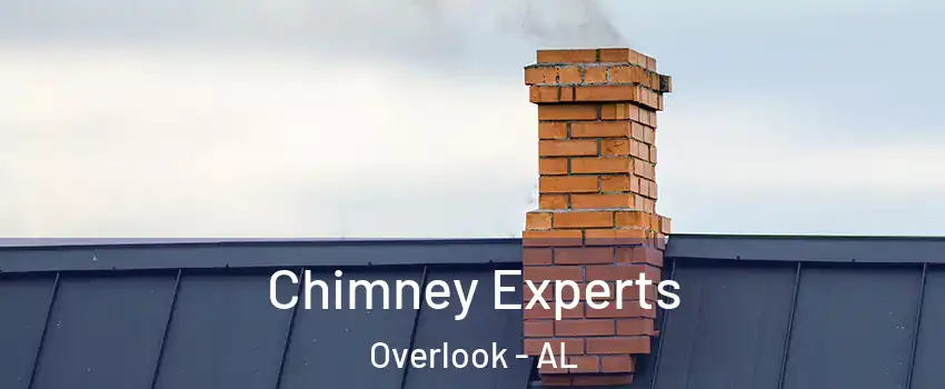 Chimney Experts Overlook - AL