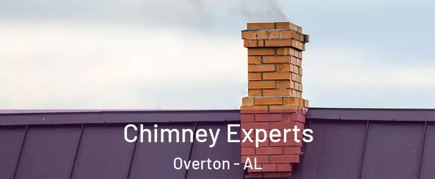 Chimney Experts Overton - AL