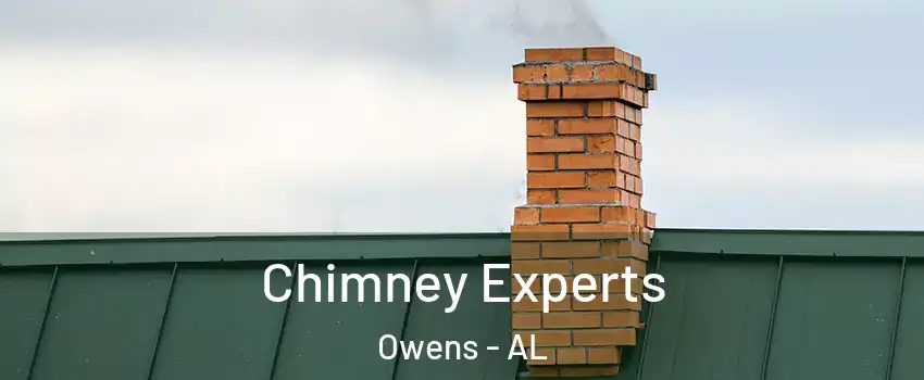 Chimney Experts Owens - AL