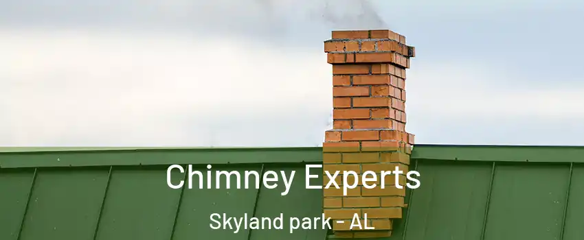Chimney Experts Skyland park - AL