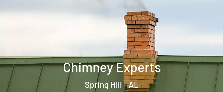 Chimney Experts Spring Hill - AL