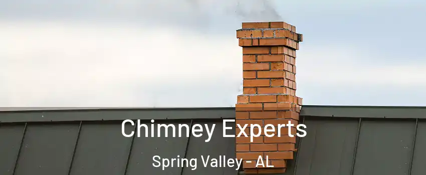 Chimney Experts Spring Valley - AL