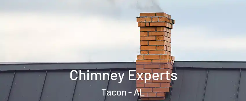 Chimney Experts Tacon - AL