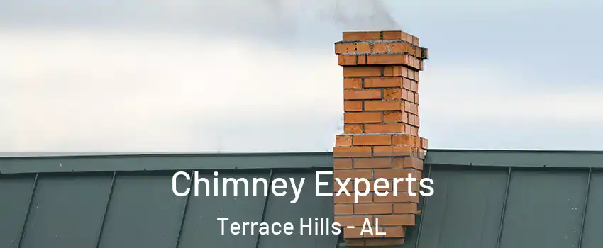 Chimney Experts Terrace Hills - AL
