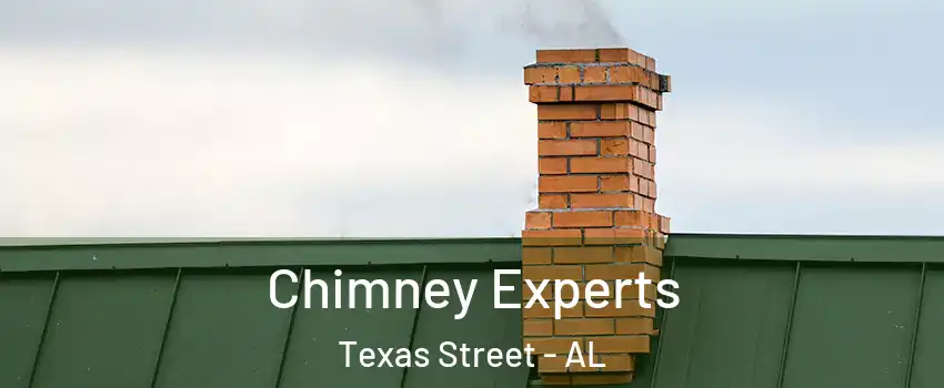 Chimney Experts Texas Street - AL