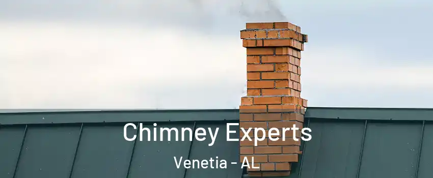 Chimney Experts Venetia - AL