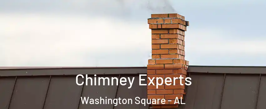 Chimney Experts Washington Square - AL