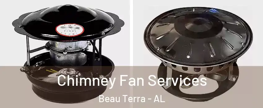 Chimney Fan Services Beau Terra - AL