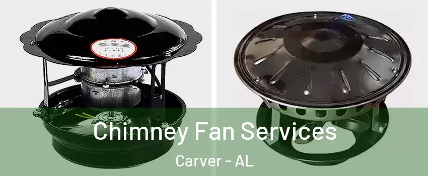 Chimney Fan Services Carver - AL