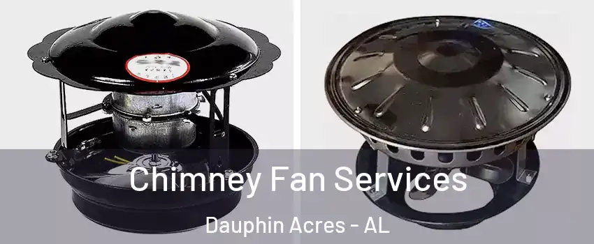 Chimney Fan Services Dauphin Acres - AL