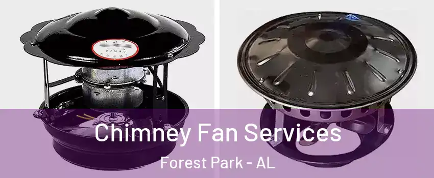 Chimney Fan Services Forest Park - AL