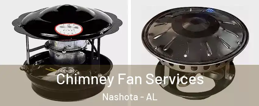 Chimney Fan Services Nashota - AL