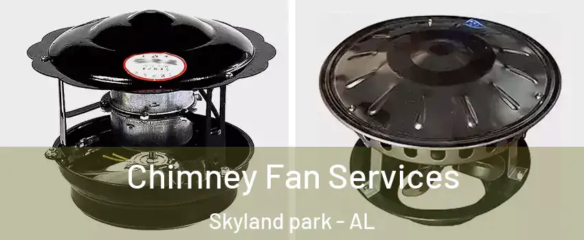 Chimney Fan Services Skyland park - AL