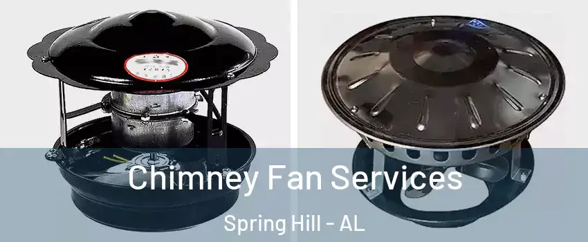 Chimney Fan Services Spring Hill - AL