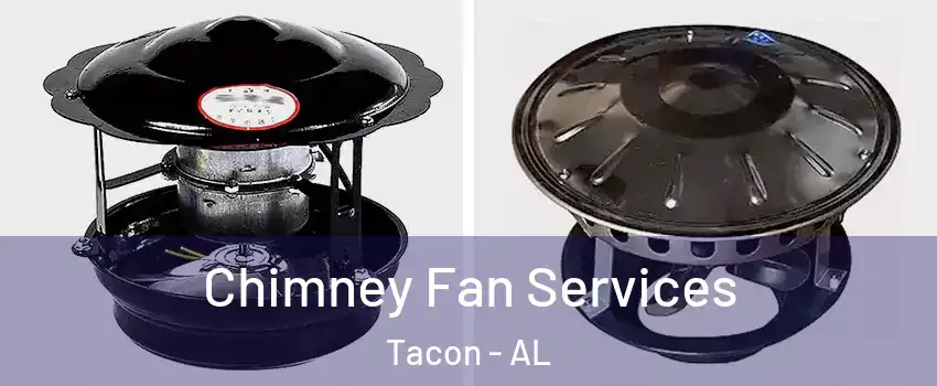 Chimney Fan Services Tacon - AL