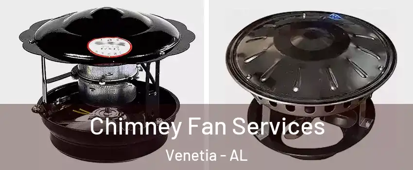 Chimney Fan Services Venetia - AL