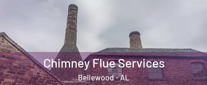 Chimney Flue Services Bellewood - AL