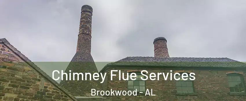 Chimney Flue Services Brookwood - AL