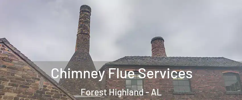 Chimney Flue Services Forest Highland - AL