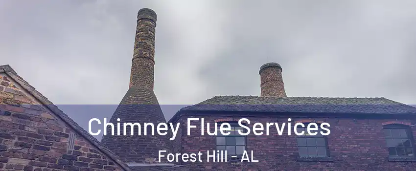 Chimney Flue Services Forest Hill - AL