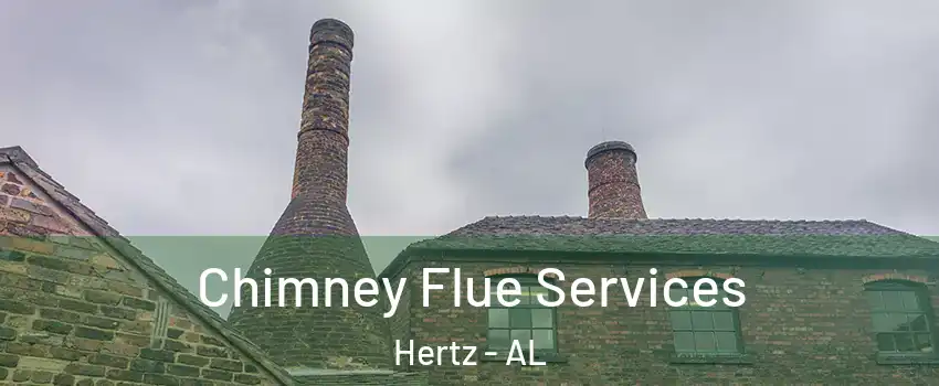 Chimney Flue Services Hertz - AL