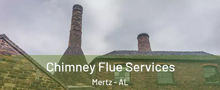 Chimney Flue Services Mertz - AL