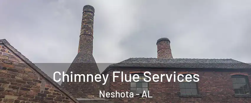 Chimney Flue Services Neshota - AL