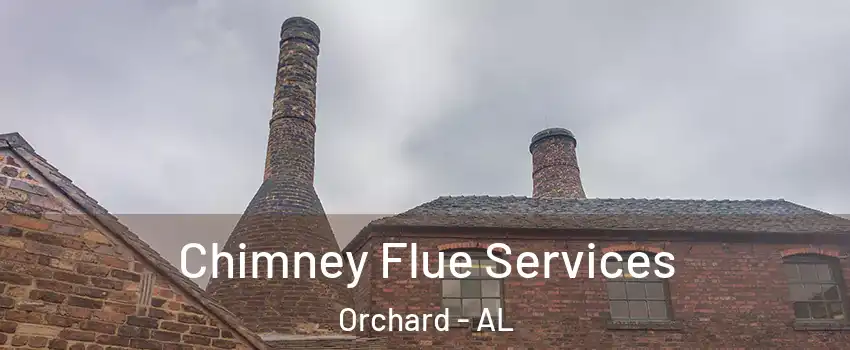 Chimney Flue Services Orchard - AL