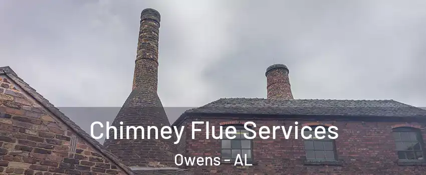 Chimney Flue Services Owens - AL