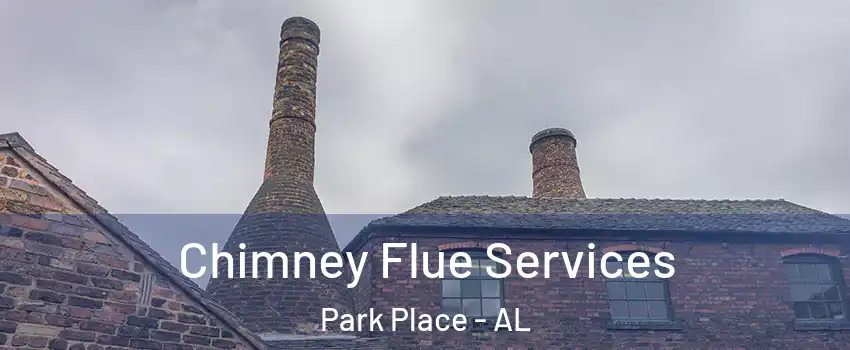Chimney Flue Services Park Place - AL