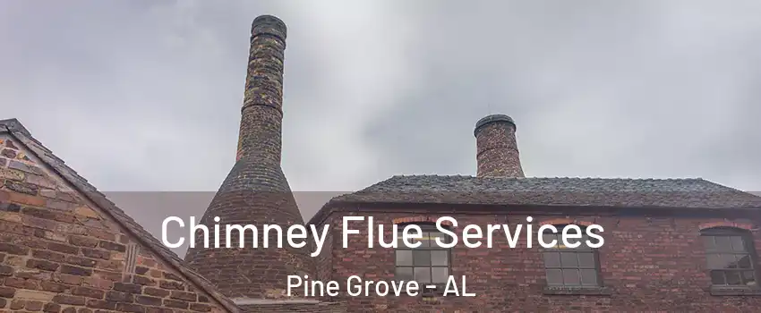 Chimney Flue Services Pine Grove - AL