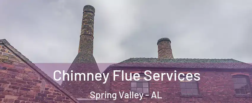 Chimney Flue Services Spring Valley - AL