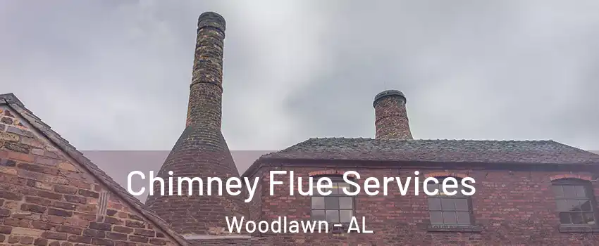 Chimney Flue Services Woodlawn - AL