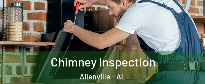 Chimney Inspection Allenville - AL