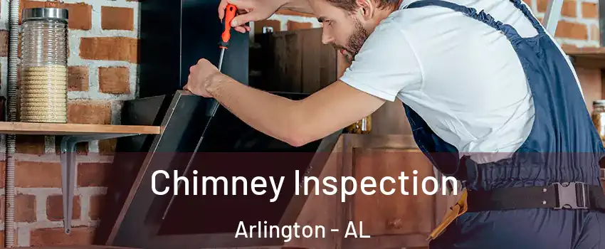 Chimney Inspection Arlington - AL