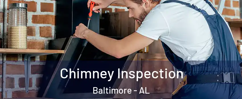 Chimney Inspection Baltimore - AL
