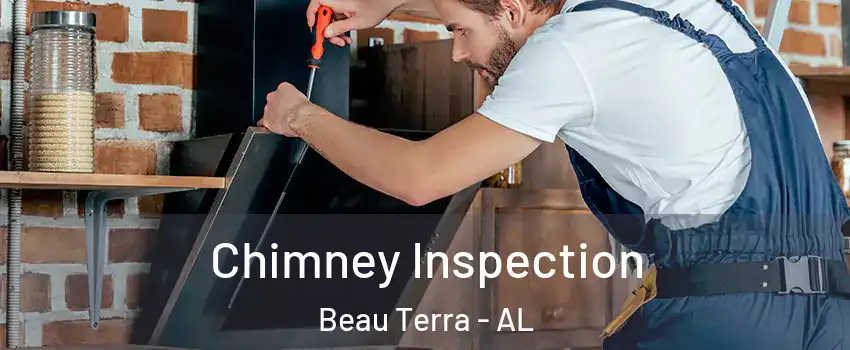 Chimney Inspection Beau Terra - AL