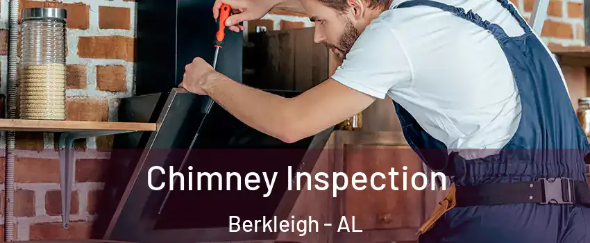 Chimney Inspection Berkleigh - AL