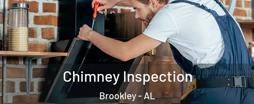 Chimney Inspection Brookley - AL