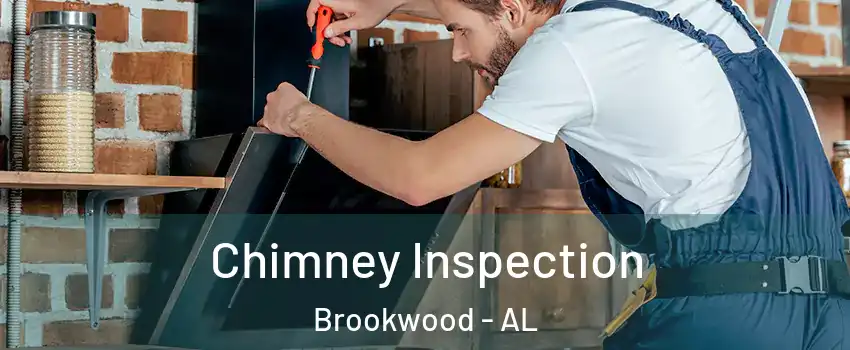 Chimney Inspection Brookwood - AL