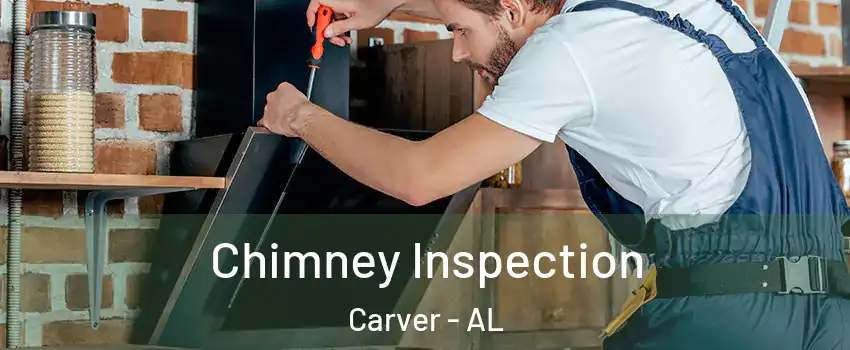 Chimney Inspection Carver - AL